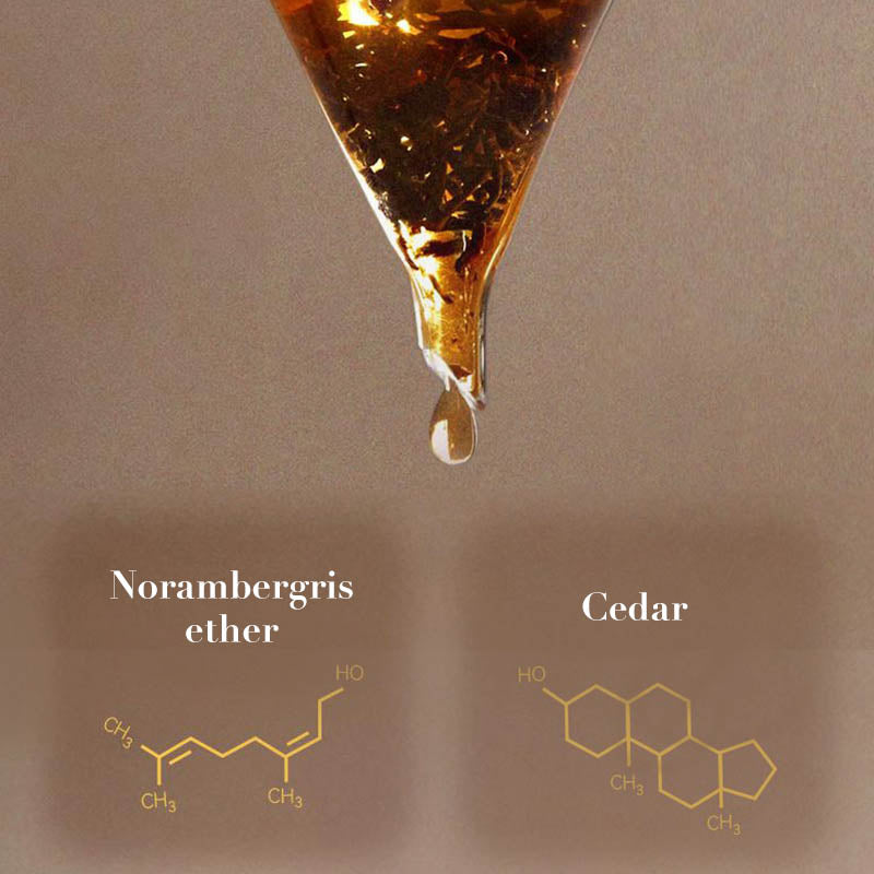 Night Rhapsody--Captivating and Long-Lasting Men's Perfume