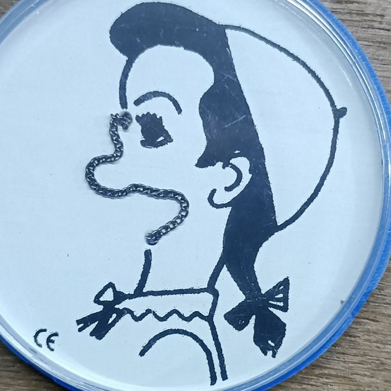 Magic Face-Changing Mini Disc