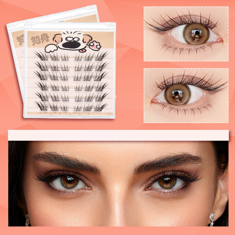 Lightweight Wispy Soft False Eyelashes