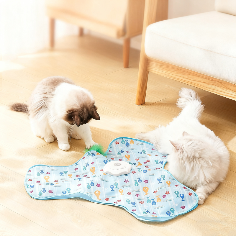 2-In-1 Hide and Seek Game Cat Toy